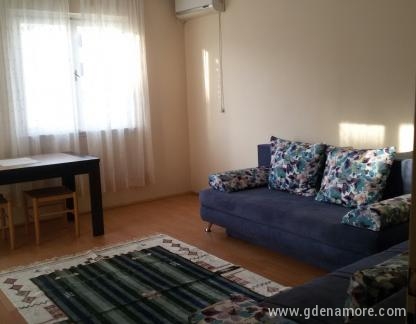 Smjestaj Zana-Herceg Novi, privatni smeštaj u mestu Herceg Novi, Crna Gora - garsonjera-dnevni borak